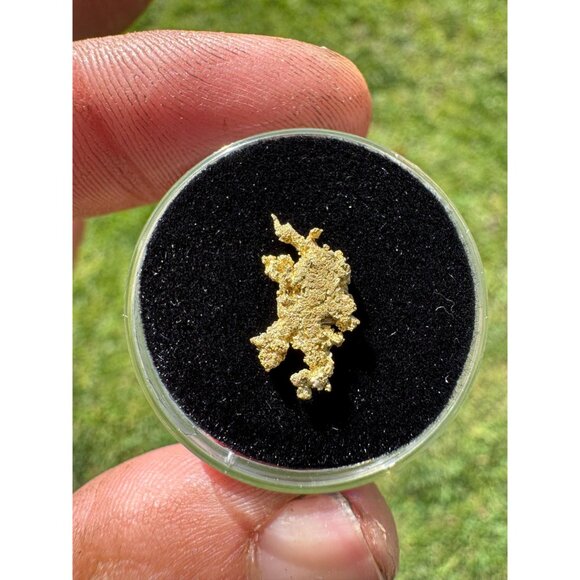 California Native Gold Crystal - 0.77 grams - Picture 2 of 5